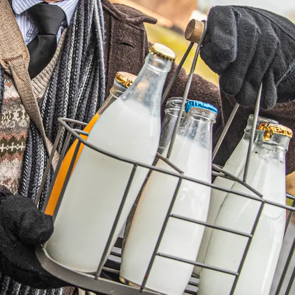 What Foods Are High in NAD+