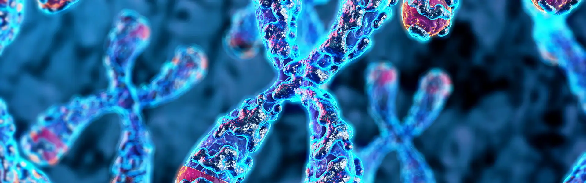 How to Lengthen Telomeres